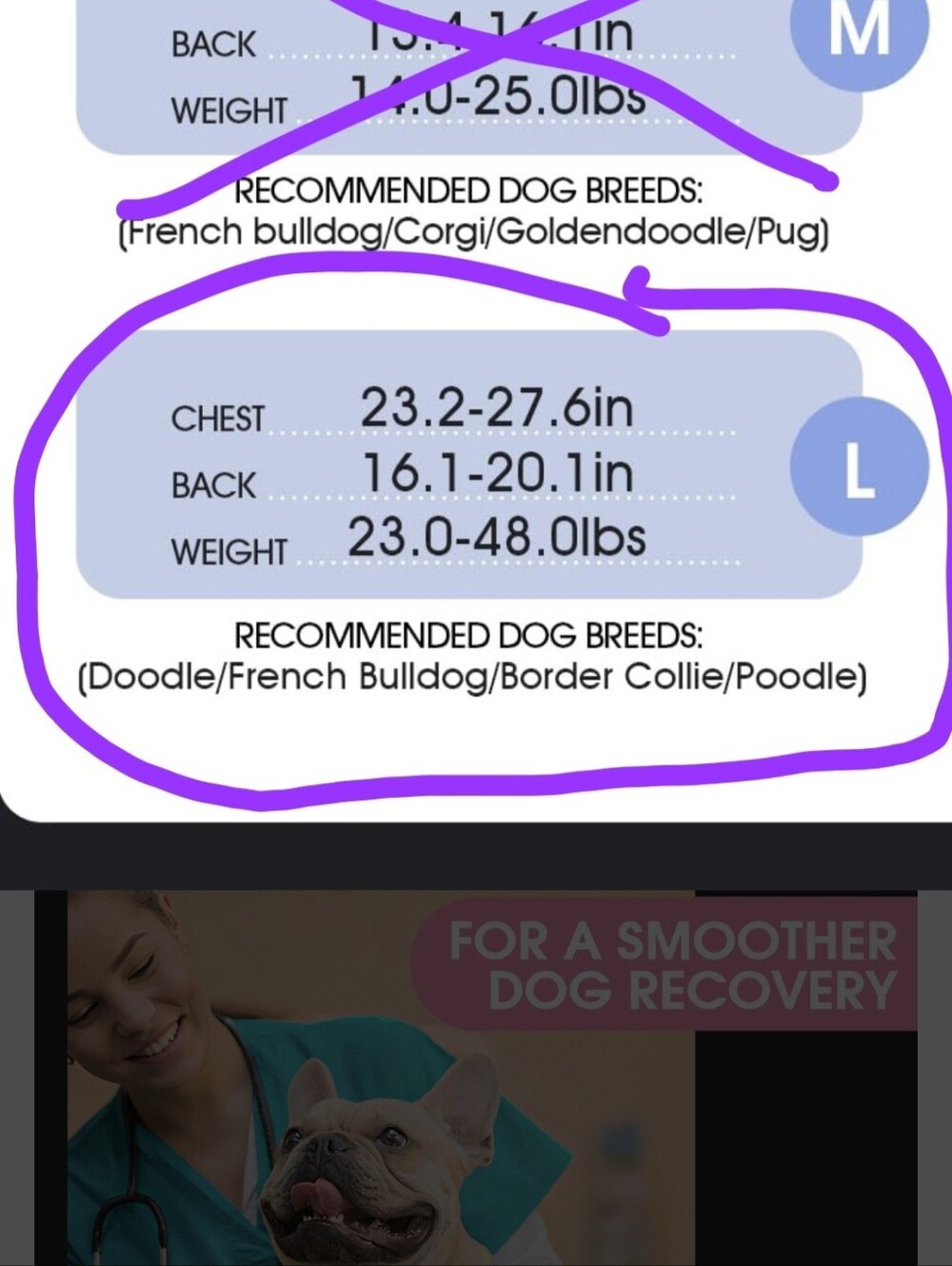 Recovery Suit For Dogs (Large) - Picture 5 of 7